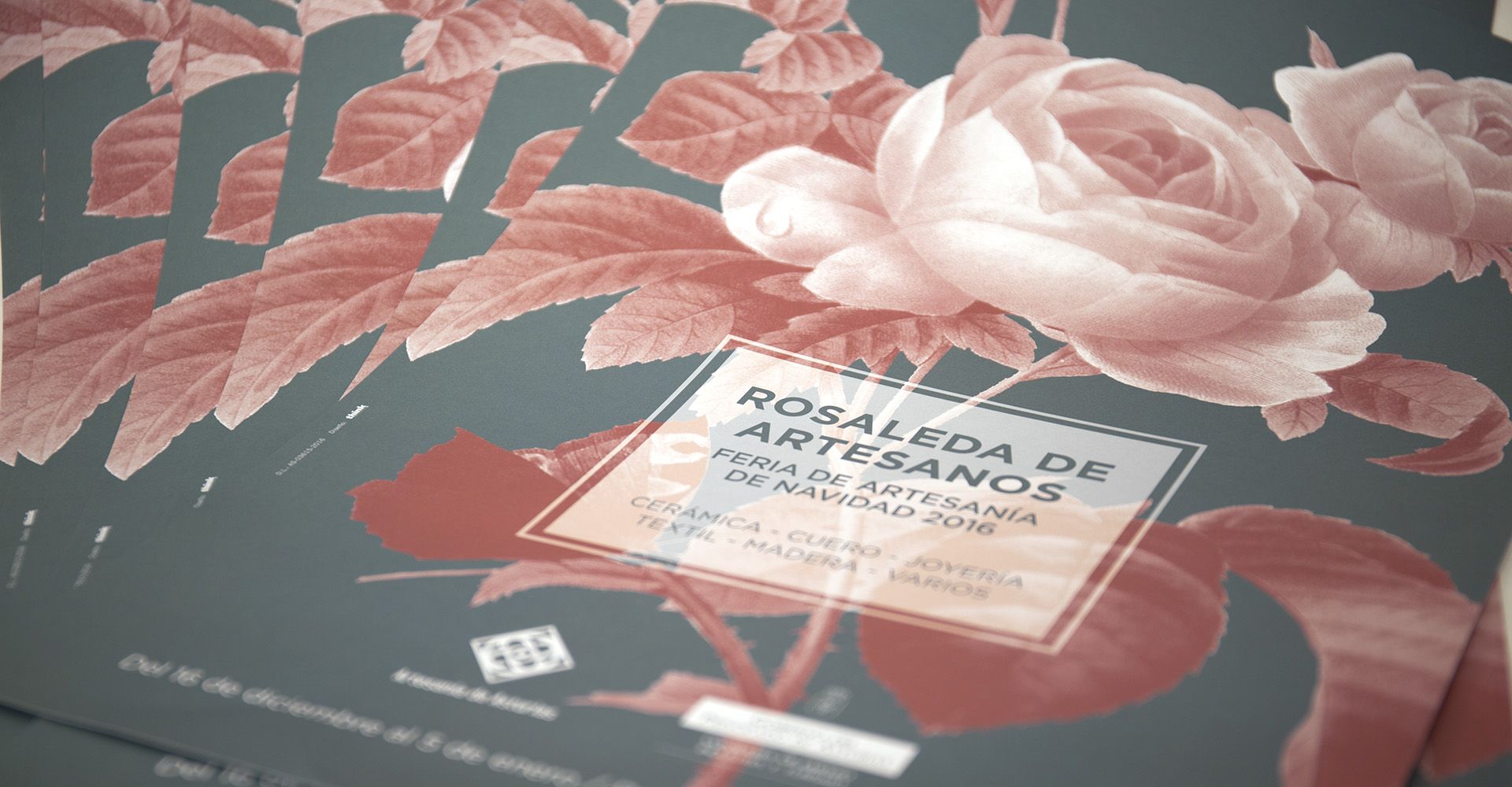 rosaleda05