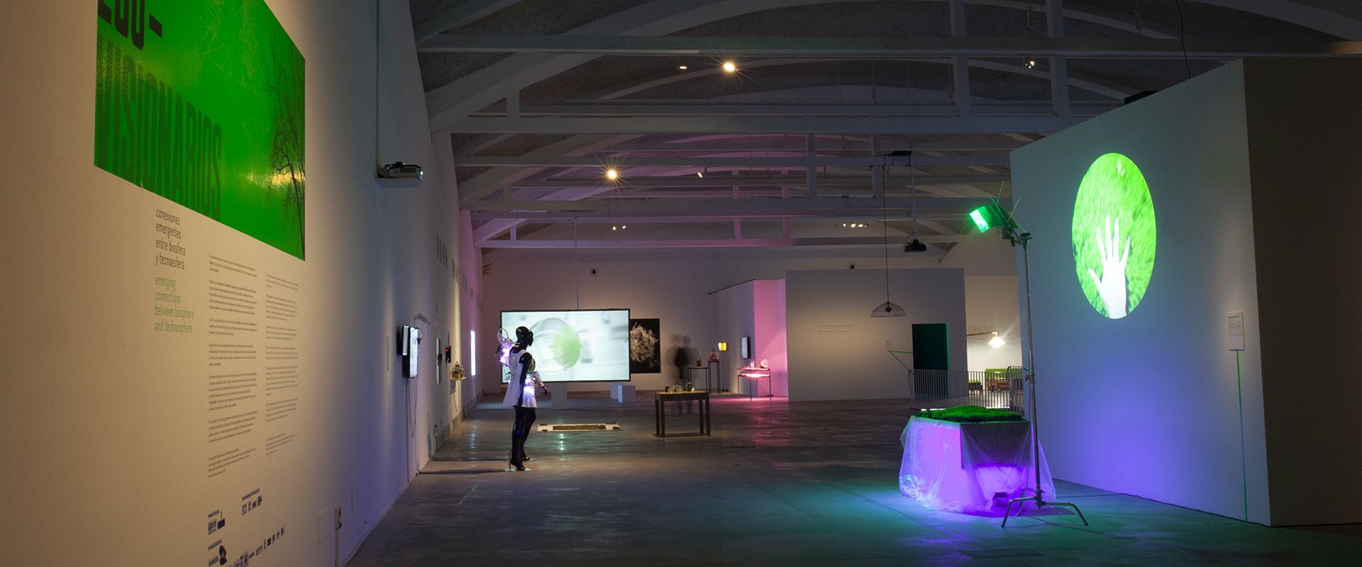 Exposicion