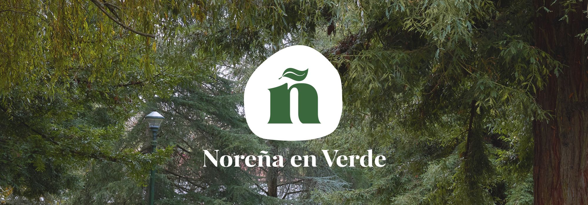 Logo de Noreña en Verde con fondo vegetal