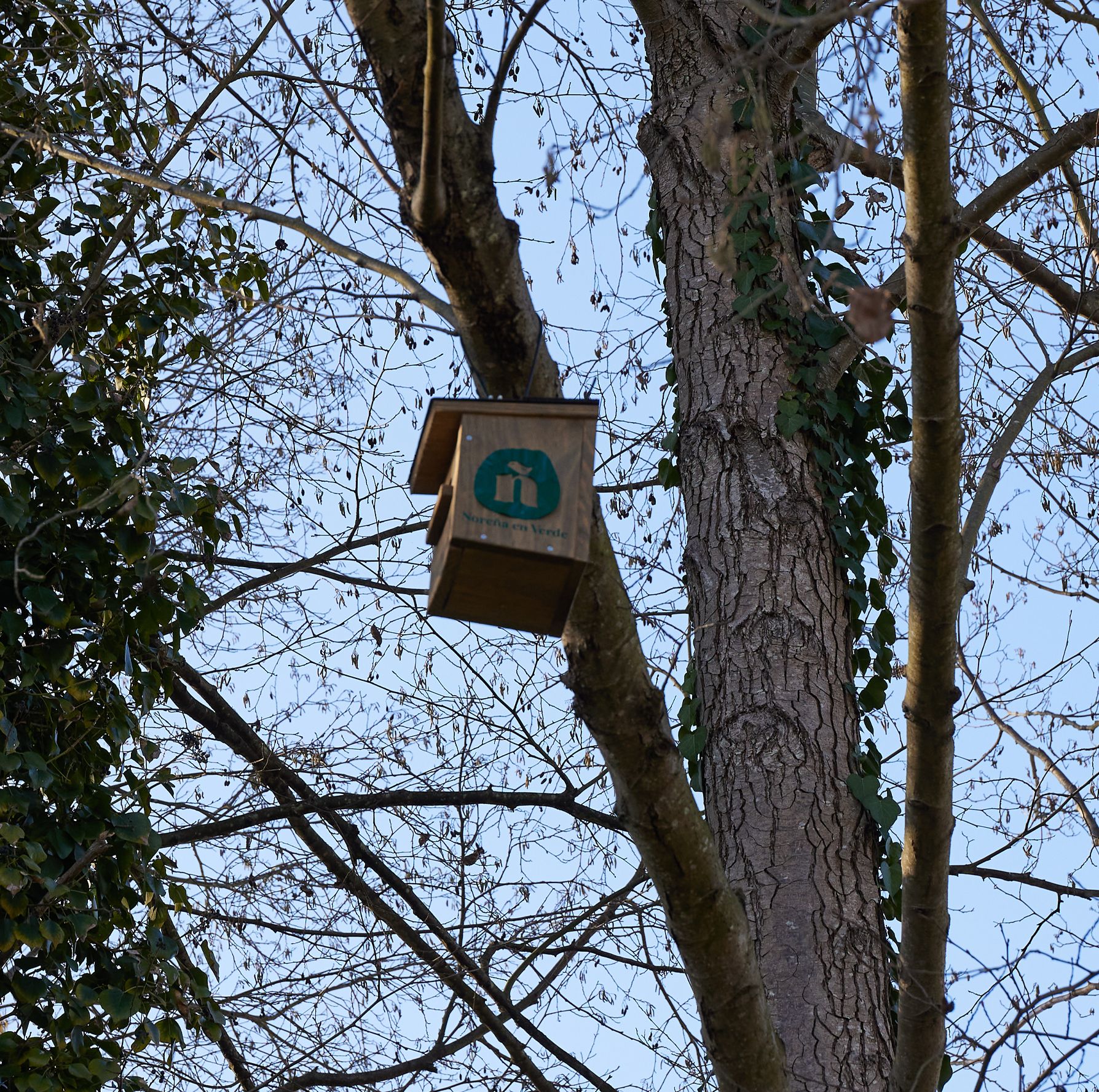 Caja nido de pájaros de Noreña en Verde