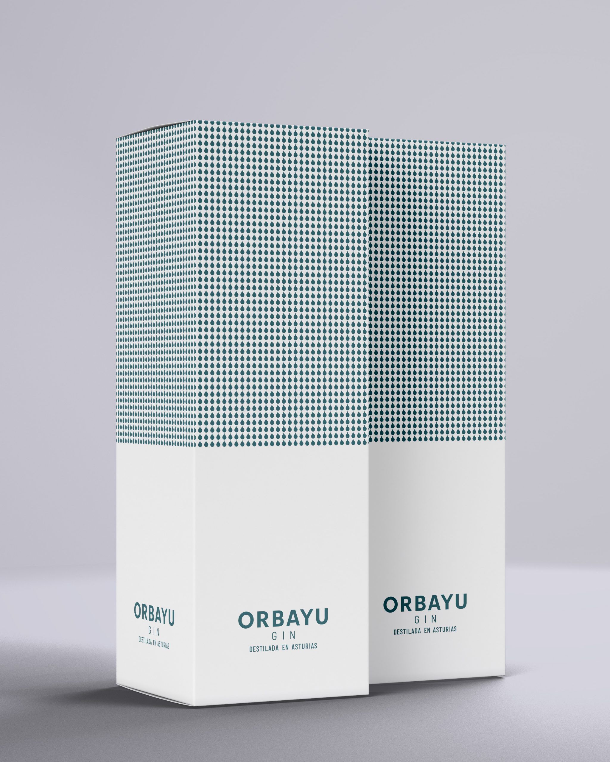 caja-orbayu
